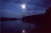 DBStagBarkattheMoon.jpg (35019 bytes)